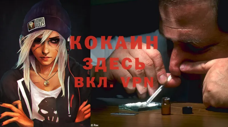 закладки  Пошехонье  Cocaine Колумбийский 